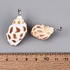 Brass & Natural Spiral Shell Pendants SHEL-Q029-16P-3