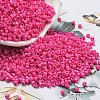Baking Paint Glass Seed Beads SEED-S042-05A-36-1