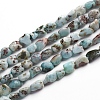 Natural Larimar Beads Strands G-D0002-B38-4