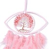 Handmade Evil Eye Woven Net/Web with Feather Wall Hanging Decoration HJEW-K035-08-3
