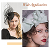 2Pcs 2 Colors Cloth Fascinator Hat Base for Millinery AJEW-HS0001-05-7