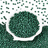 Baking Paint Pearlized Glass Seed Beads SEED-T007-21A-15-1