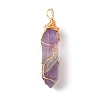 Natural Amethyst Double Terminated Pointed Pendants G-TAC0010-04G-02-1