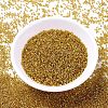 MIYUKI Delica Beads SEED-MY11-DB2157-2