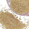 FGB 12/0 Round Glass Seed Beads SEED-OL0001-08A-02-1