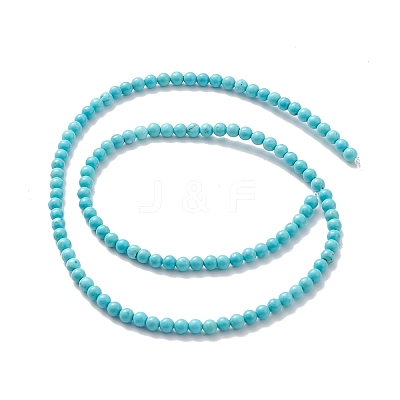 Natural Howlite Beads Strands TURQ-K005-01B-1