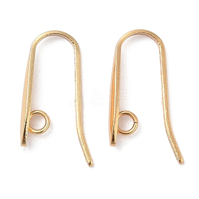 304 Stainless Steel Earring Hooks STAS-B065-05G-1