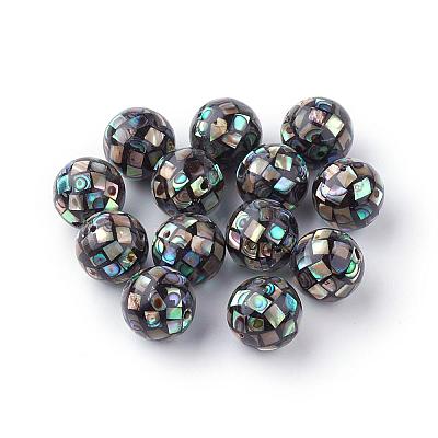 Natural Paua Shell Beads SSHEL-Q298-12mm-09-1