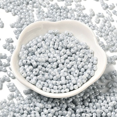 Opaque Colours Luster Glass Seed Beads X1-SEED-B001-01A-09-1