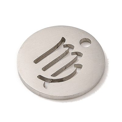Non-Tarnish 201 Stainless Steel Charms STAS-E217-10P-01-1