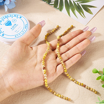 DIY Natural Regalite/Imperial Jasper/Sea Sediment Jasper Beads Bracelets Making KIts DIY-TA0002-69E-1