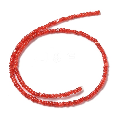 Natural Freshwater Shell Beads Strands SHEL-P017-01B-07-1