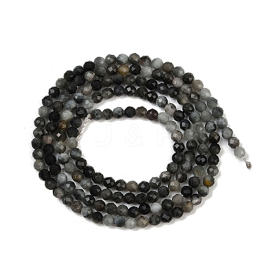 Natural Eagle Eye Stone Beads Strands G-RM250101-E6-1