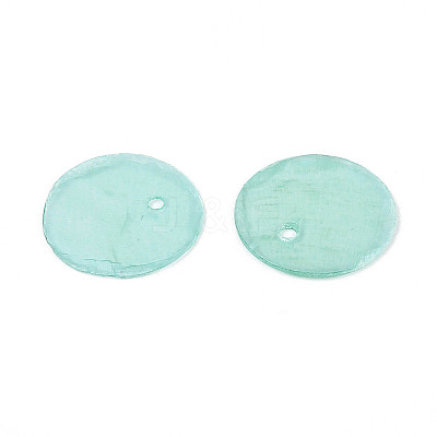 Spray Painted Natural Capiz Shell Disc Charms X1-BSHE-T014-02D-1