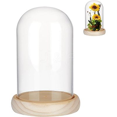 Glass Dome Cover DJEW-NB0001-35-1