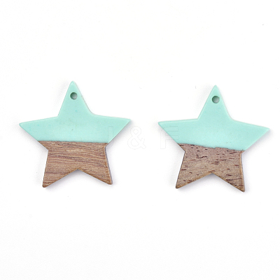 Resin & Walnut Wood Pendants RESI-T023-23C-1