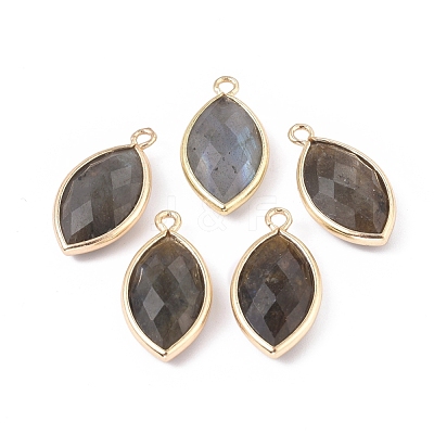 Natural Labradorite Pendants G-L514-023G-1
