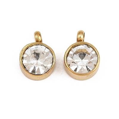 304 Stainless Steel Charms STAS-G118-05G-1
