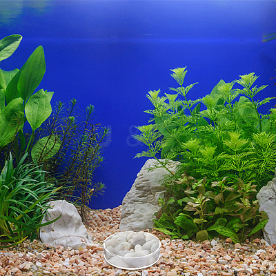 8Pcs 2 Style Transparent Acrylic Aquarium Shrimp Feeding Dishes AJEW-GO0001-01-1