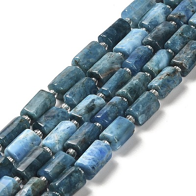 Natural Apatite Beads Strands G-N327-06-27-1