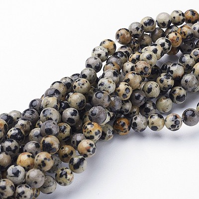 Natural Dalmatian Jasper Beads Strands GSR6mmC004-1