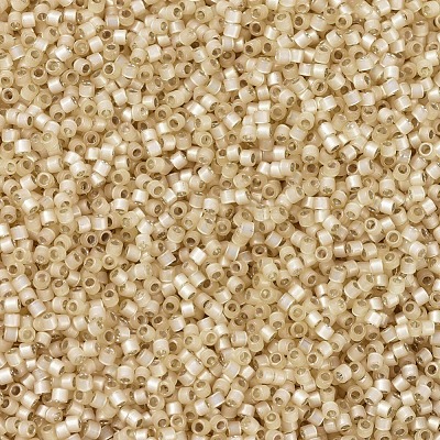 MIYUKI Delica Beads SEED-X0054-DB0621-1