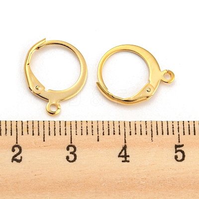 304 Stainless Steel Leverback Earring Findings STAS-D448-041G-1