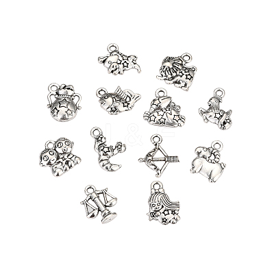 Zinc Alloy Charms PALLOY-CJ0001-100-1