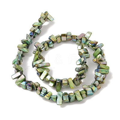 Natural Freshwater Shell Beads Strands BSHE-H018-07C-1