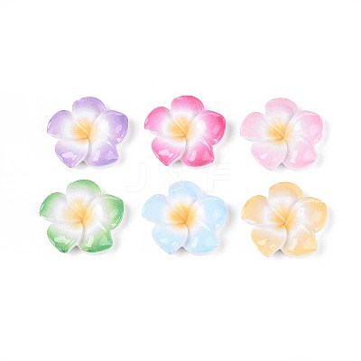 Plumeria Flower Opaque Resin Cabochons CRES-T025-30M-01-1