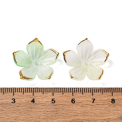 Transparent Acrylic Bead Caps TACR-P011-03A-1