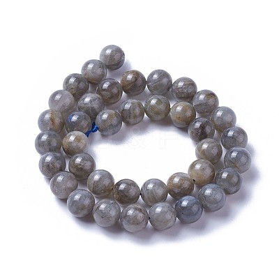 Natural Labradorite Beads Strands G-F627-10-D-1