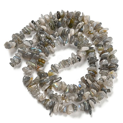 Natural Labradorite Chip Bead Strands G-M205-13-1