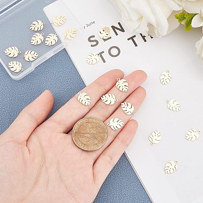 304 Stainless Steel Charms STAS-UN0020-59G-1