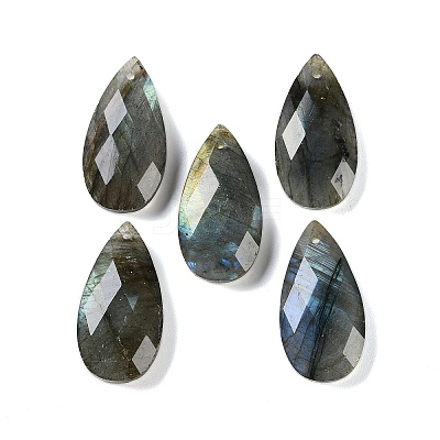 Natural Labradorite Pendants G-C140-05J-1
