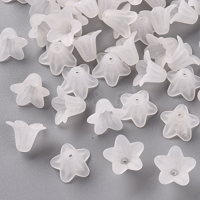 Transparent Acrylic Beads PLF018-01-1