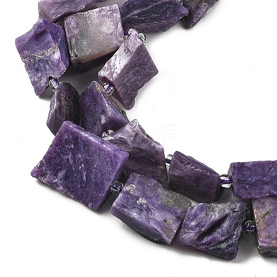 Natural Charoite Beads Strands G-D101-B17-1