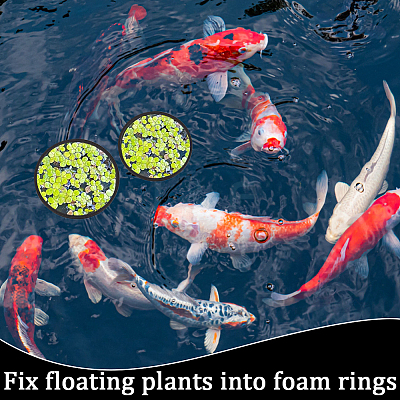 2 Sets EVA Foam Feeding Ring for Fish AJEW-CN0002-52A-1