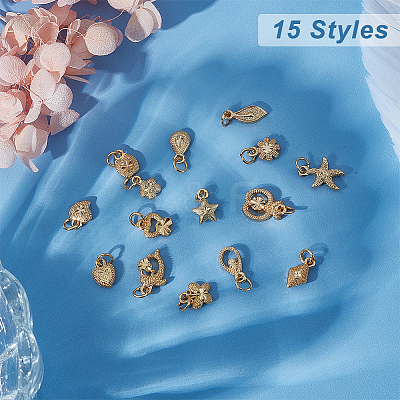 60Pcs 15 Style Electroplated Alloy Charms FIND-PH0006-30-1