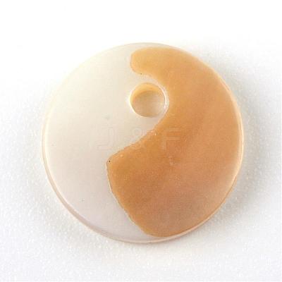 Sea Shell Charms SSHEL-S247-31-1