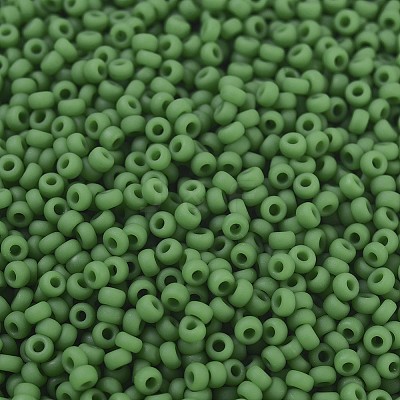 MIYUKI Round Rocailles Beads X-SEED-G007-RR0411F-1