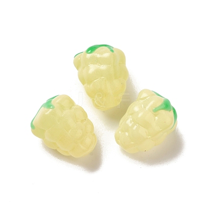 Handmade Lampwork Beads Strands LAMP-G162-05D-1
