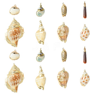 16pcs 8 Styles Electroplated Natural Mixed Shell Big Pendants SSHEL-CJ0001-21-1