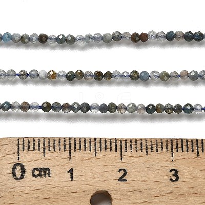 Natural Apatite Beads Strands G-RM2025-A23-2mm-1