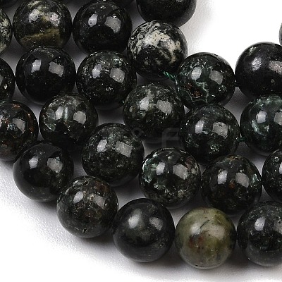 Natural Seraphinite Beads Strands G-H337-A03-05-1