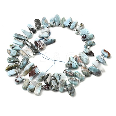 Natural Larimar Beads Strands G-Z091-A09-1