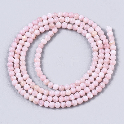 Natural Freshwater Shell Beads Strands X-BSHE-T009-01D-1