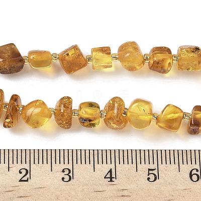 Natural Amber Beads Strands G-L095-E01-07-1