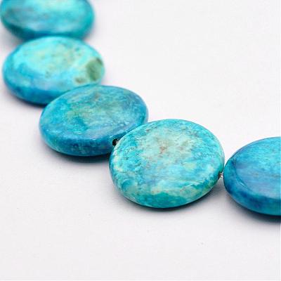 Natural Variscite Bead Strands G-P300-20-20mm-1