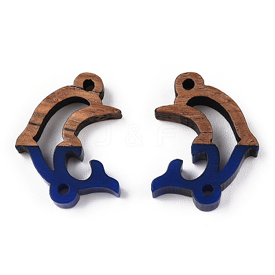 Opaque Resin & Walnut Wood Connector Charms RESI-N039-46B-1